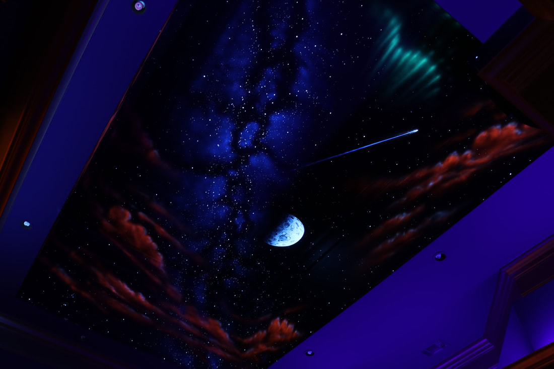 Star Ceiling… Fiber Optics or Painted? - Night Sky Murals